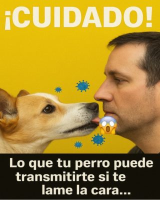 🐶 ¿Por Qué NUNCA Debes Dejar Que Tu Perro Te Lama la Cara? 😱💡