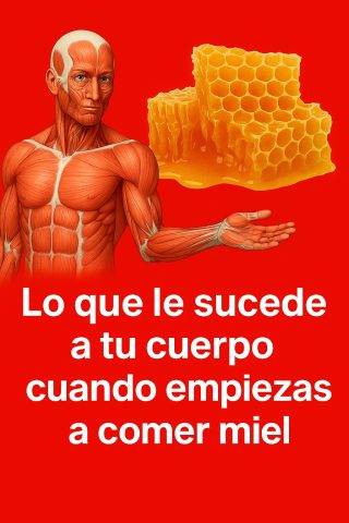 🍯 Lo Que Le Pasa a Tu Cuerpo Cuando Empiezas a Comer Miel: El Milagro Natural que Muchos Ignoran 💥🐝