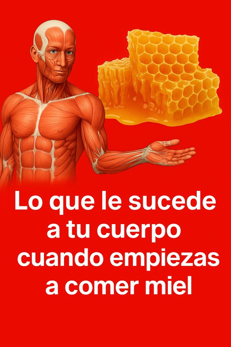 🍯 Lo Que Le Pasa a Tu Cuerpo Cuando Empiezas a Comer Miel: El Milagro Natural que Muchos Ignoran 💥🐝