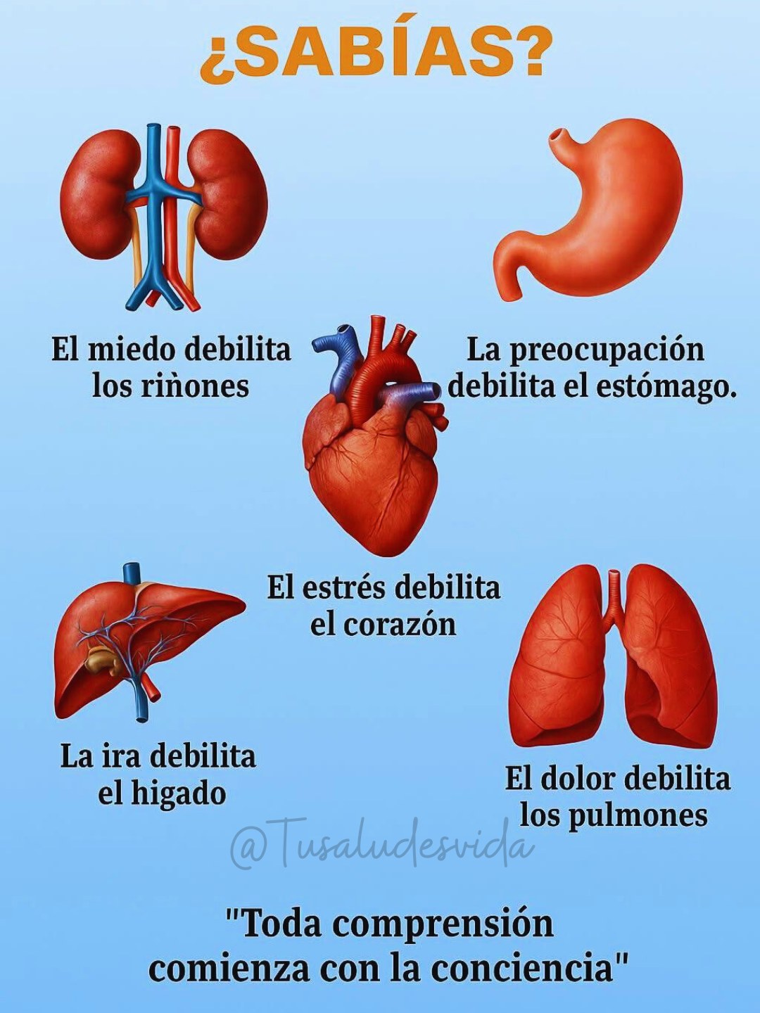 😔💔 Cómo las emociones afectan a tus órganos: La conexión cuerpo-mente que no puedes ignorar