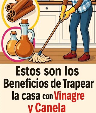 ¿Cuáles son los Beneficios de Trapear la Casa con Vinagre y Canela?
