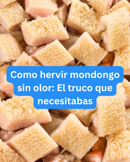 Mondongo sin olor: 5 trucos que SÍ funcionan (y cómo dejar tu cocina fresca) 🍋🧼🌿
