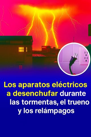 ⚡🔌 ¡Cuidado con la Tormenta! Los Aparatos Eléctricos Que DEBES Desconectar 🧯☔
