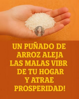 El sorprendente poder del arroz: un aliado oculto en tu hogar