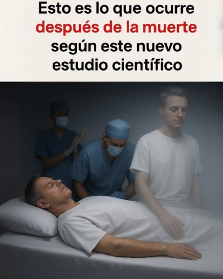 🧠 ¿Qué sucede después de la muerte? El sorprendente hallazgo de la ciencia