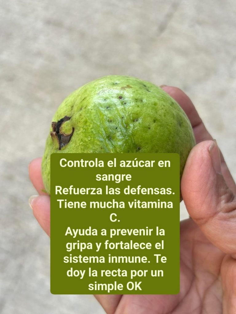 Adios al azucar alto: descubre el poder de la guayaba