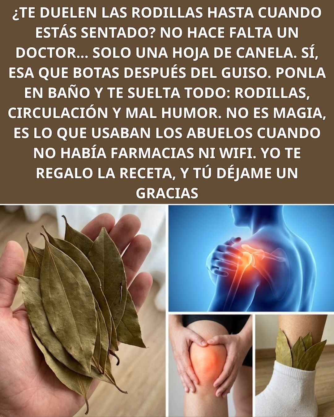 El Poder Milenario de las Hojas de Laurel para un Alivio Natural!