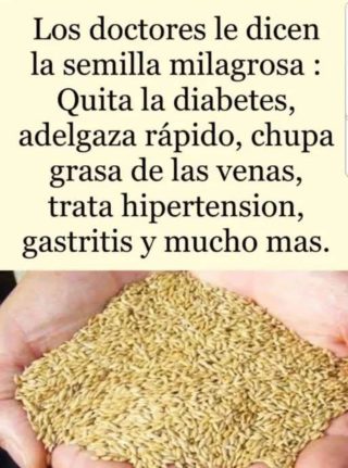 Alpiste el milagro de la naturaleza