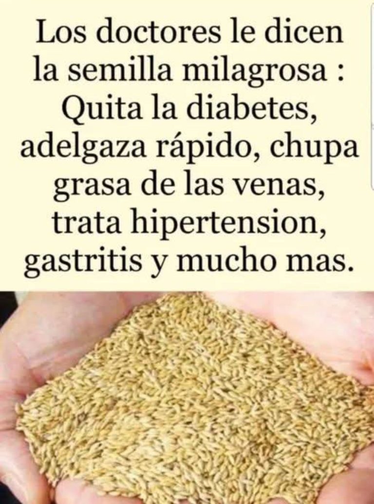 Alpiste el milagro de la naturaleza