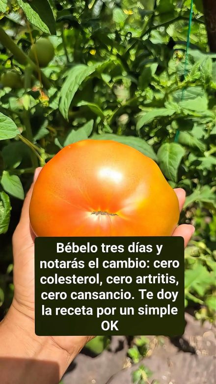 “Bebida cero colesterol y cero inflamación: receta completa paso a paso”