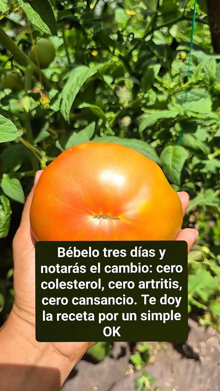 “Bebida cero colesterol y cero inflamación: receta completa paso a paso”