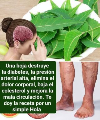 Hojas de Neem para Mejorar Tu Salud
