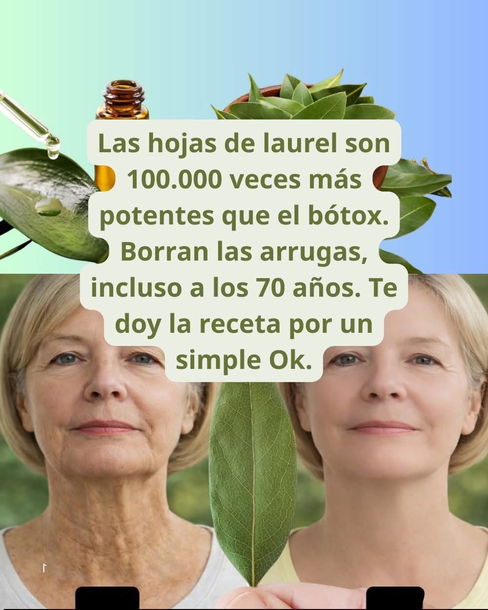 LAS HOJAS DE LAUREL SON MAS POTENTE QUE EL BOTOX