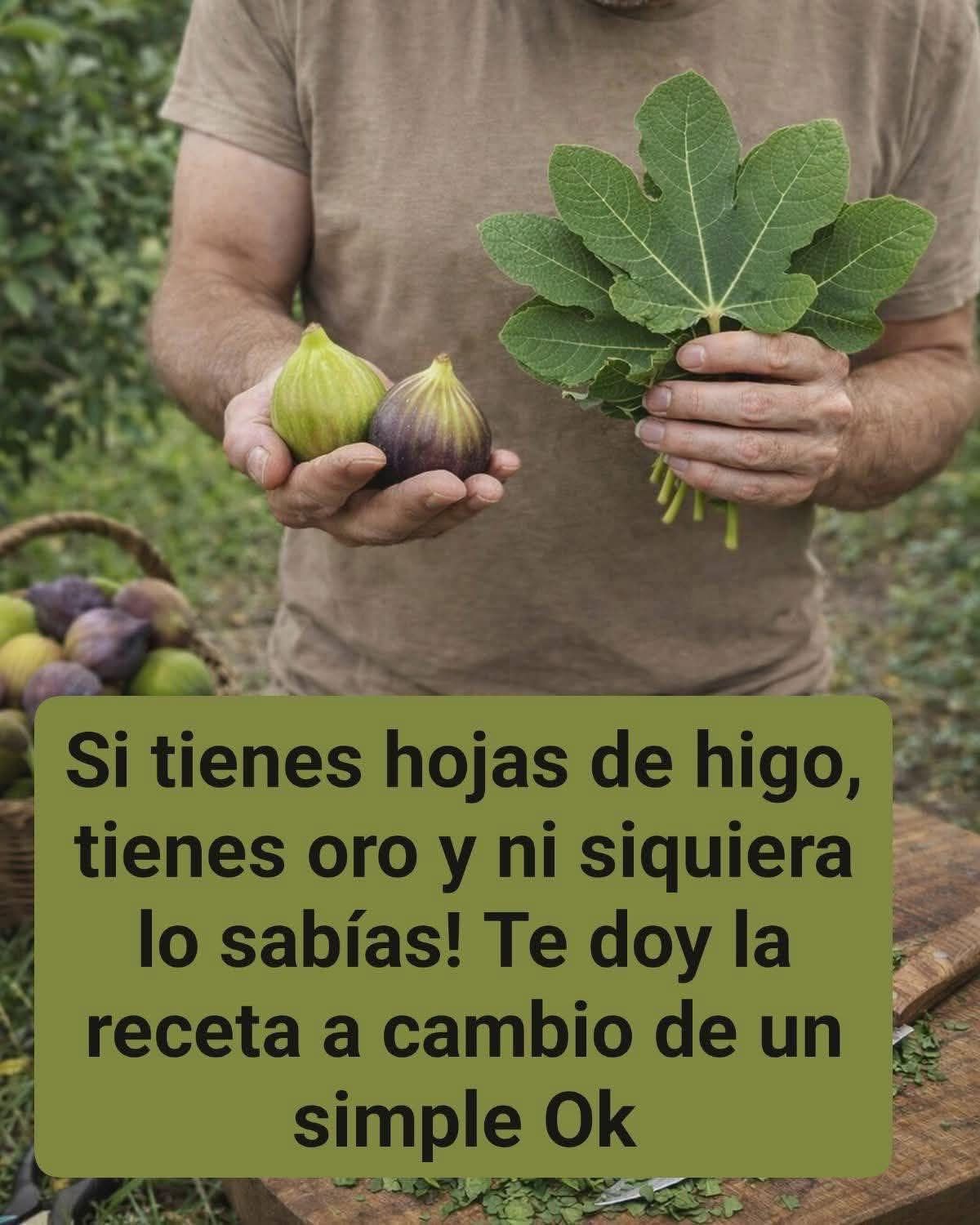EL GRAN TESORO OLVIDADO