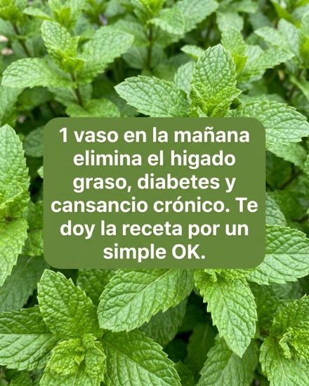 Hierbabuena con Limón: El Remedio Casero que Limpia, Rejuvenece y Te Da Energía en Minutos