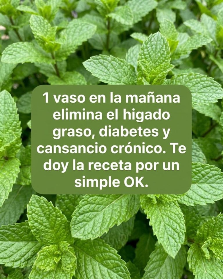 Hierbabuena con Limón: El Remedio Casero que Limpia, Rejuvenece y Te Da Energía en Minutos