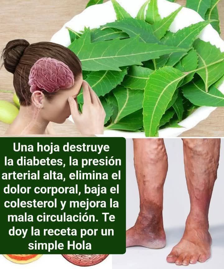 Hojas de Neem para Mejorar Tu Salud