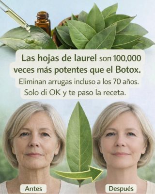 LAS HOJAS DE LAUREL SON MAS POTENTE QUE EL BOTOX