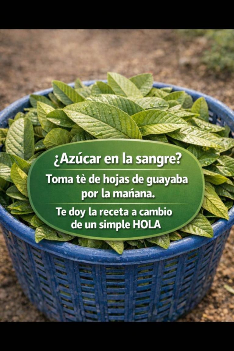 COMIENZA TU MAÑANA CON ESTE PODEROSO TE
