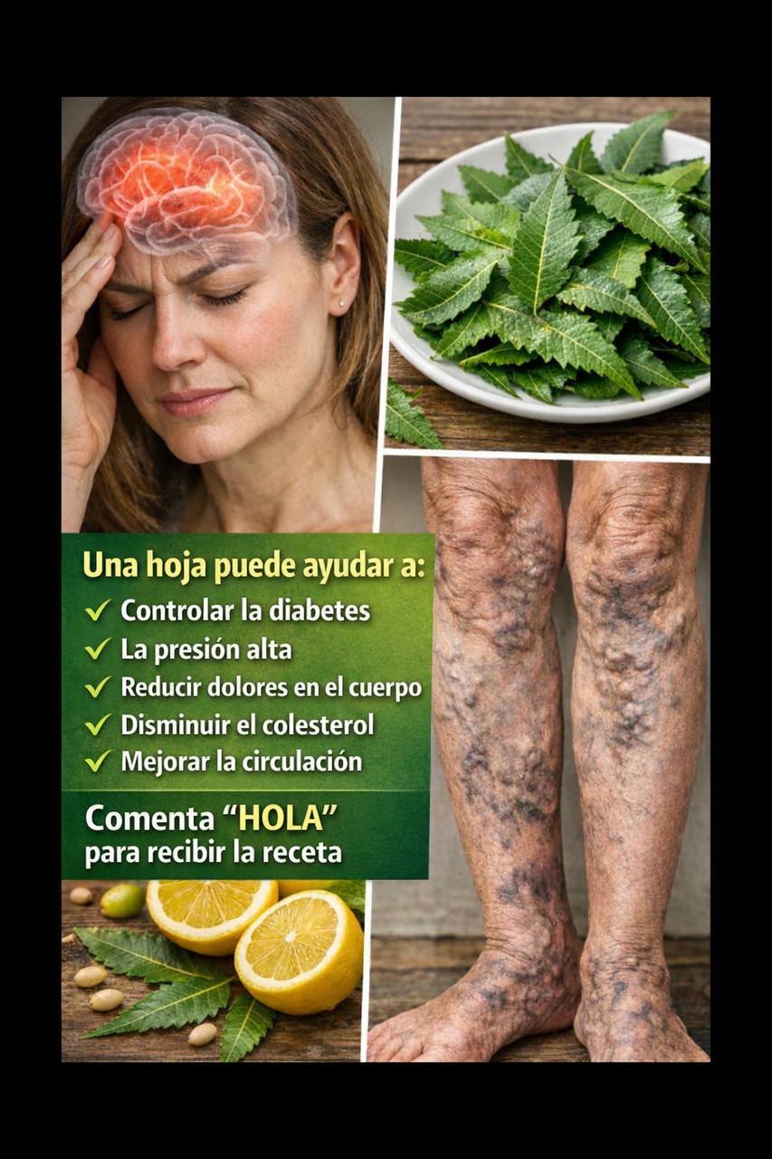 EL TESORO VERDE DE LA MEDICINA NATURAL