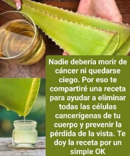 Jugo de Aloe Vera Casero: Beneficios (Piel, Digestión) y Receta Fácil
