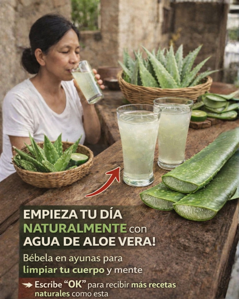 LOS SORPRENDENTES BENEFICIOS DEL ALOE VERA