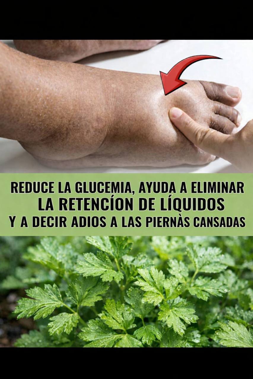 EL TESORO VERDE QUE NUESTRAS ABUELAS USABAN
