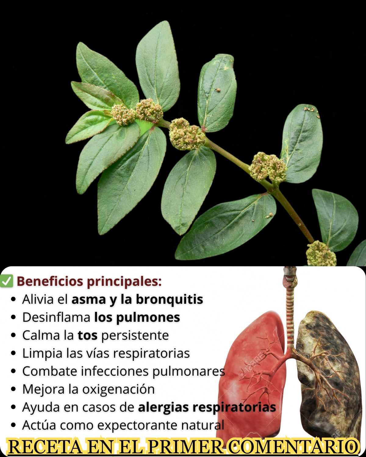 TIENES ORO PERO NO LO SABES