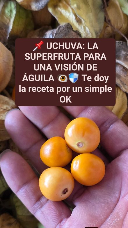 LA SUPERFRUTA PARA UNA VISIÓN DE ÁGUILA
