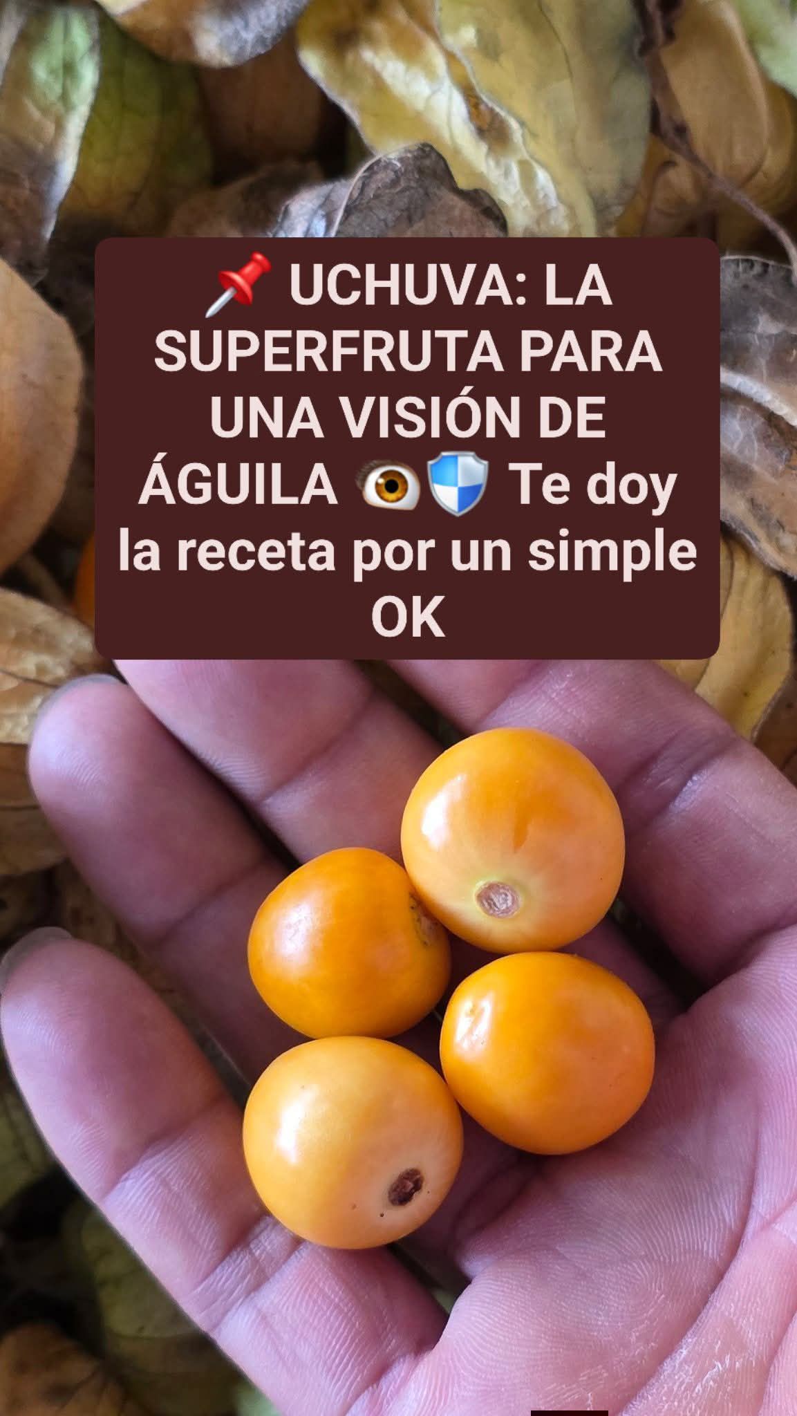 LA SUPERFRUTA PARA UNA VISIÓN DE ÁGUILA