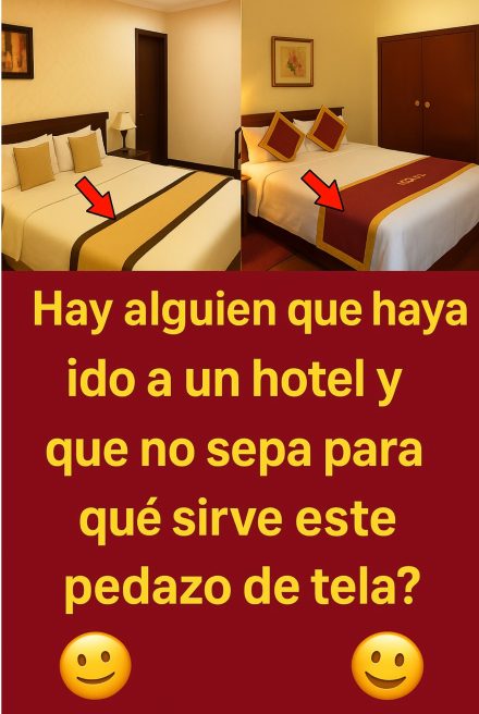 🏨 El Misterioso Pedazo de Tela en la Cama del Hotel: ¿Sabes Para Qué Sirve? 🤔👇