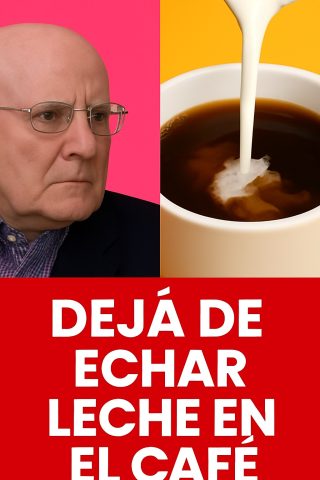☕ ¿Café con leche o café solo? Descubre lo que nadie te cuenta 🧠💥