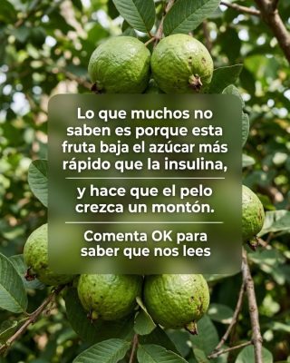 Recetas con Guayaba para Fortalecer Cabello y Equilibrar la Glucosa