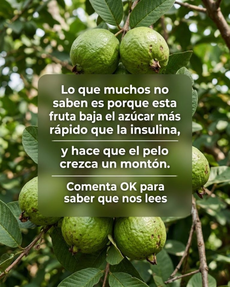 Recetas con Guayaba para Fortalecer Cabello y Equilibrar la Glucosa