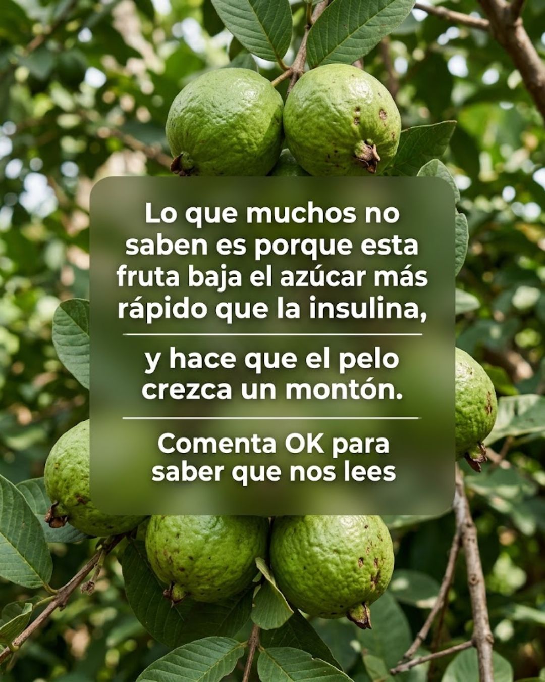 Recetas con Guayaba para Fortalecer Cabello y Equilibrar la Glucosa