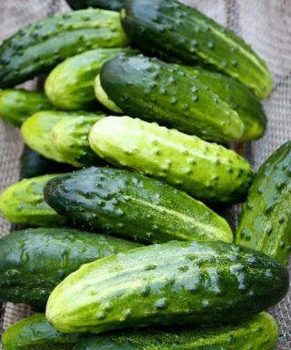 Los médicos revelan que comer pepinos en ensaladas provoca…