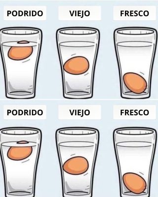 No hay forma más precisa: la manera más exacta de comprobar la frescura de los huevos de gallina