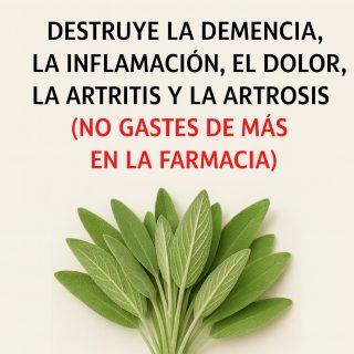 Combate la demencia, la inflamación, el dolor, la artritis y la artrosis