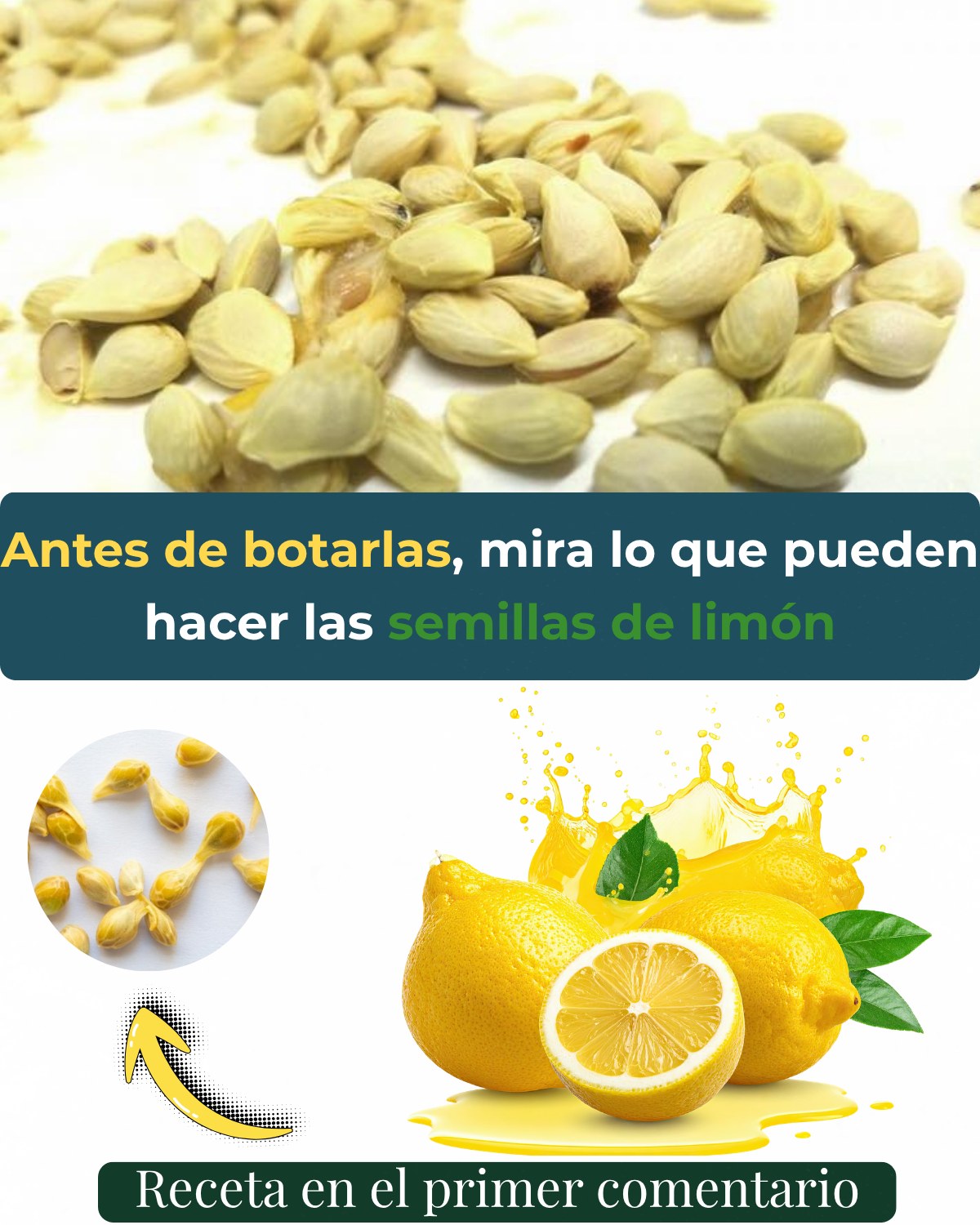 Semillas de Limón: Propiedades Medicinales, Beneficios y Usos Naturales