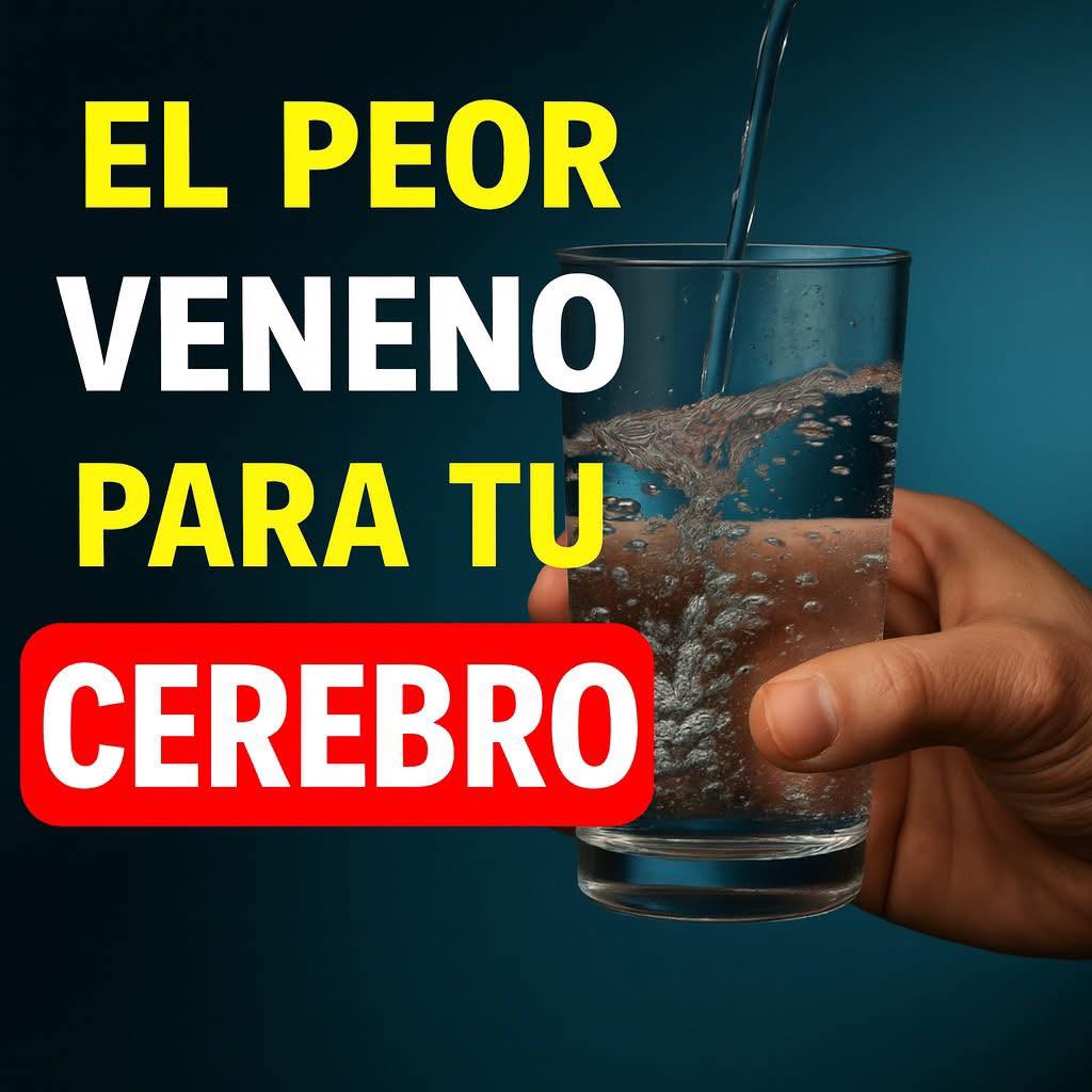 Médico Cerebral Advierte: El Peor “VENENO” Que Provoca Alzheimer Sin Que Lo Sepas