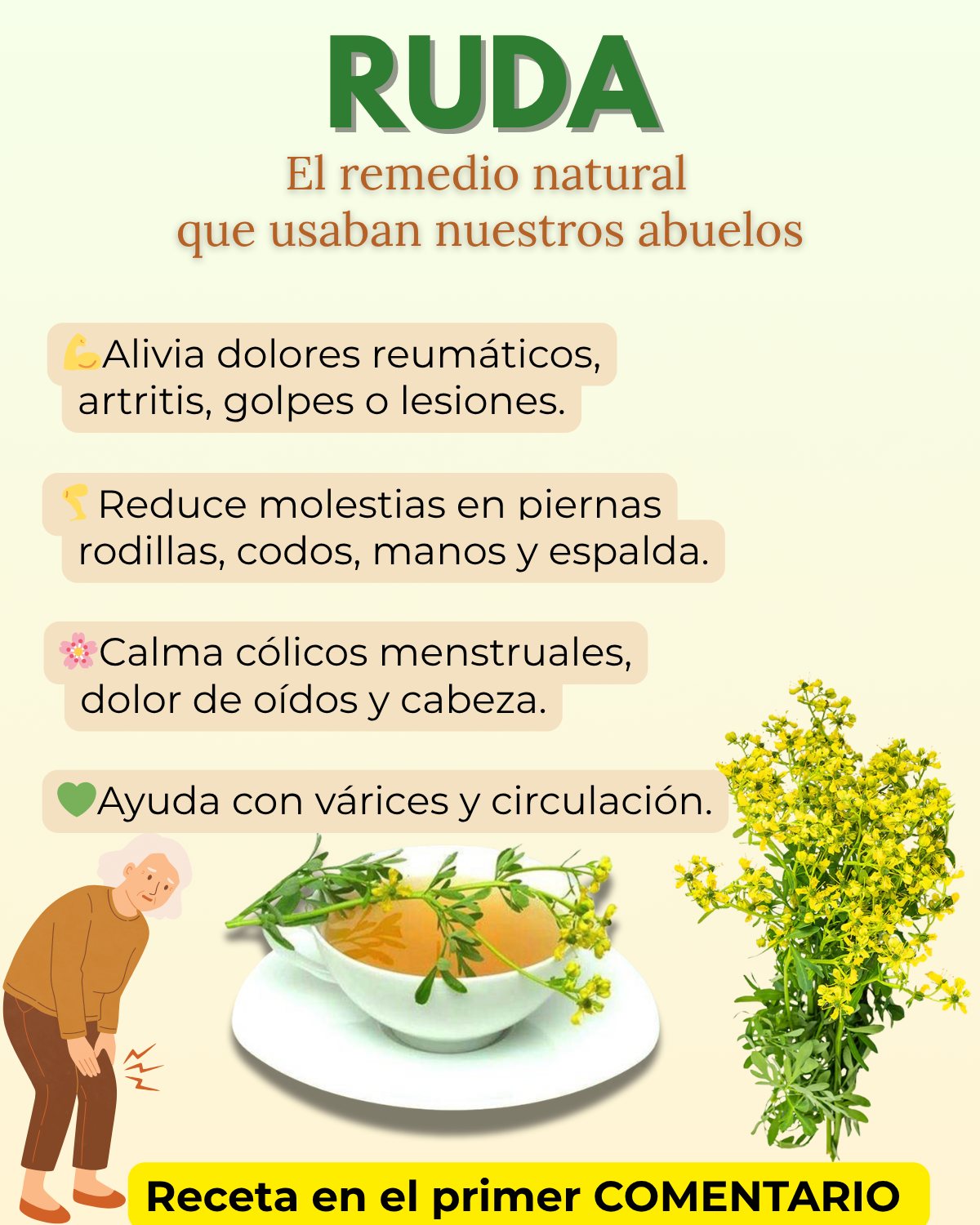 Ruda para la Salud: 15 Usos Poderosos