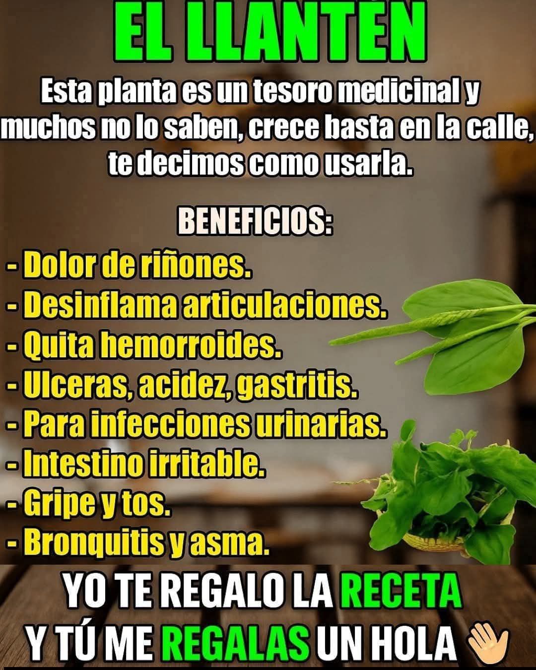 EL LLANTÉN: