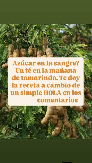 El tamarindo y sus beneficios y propiedades
