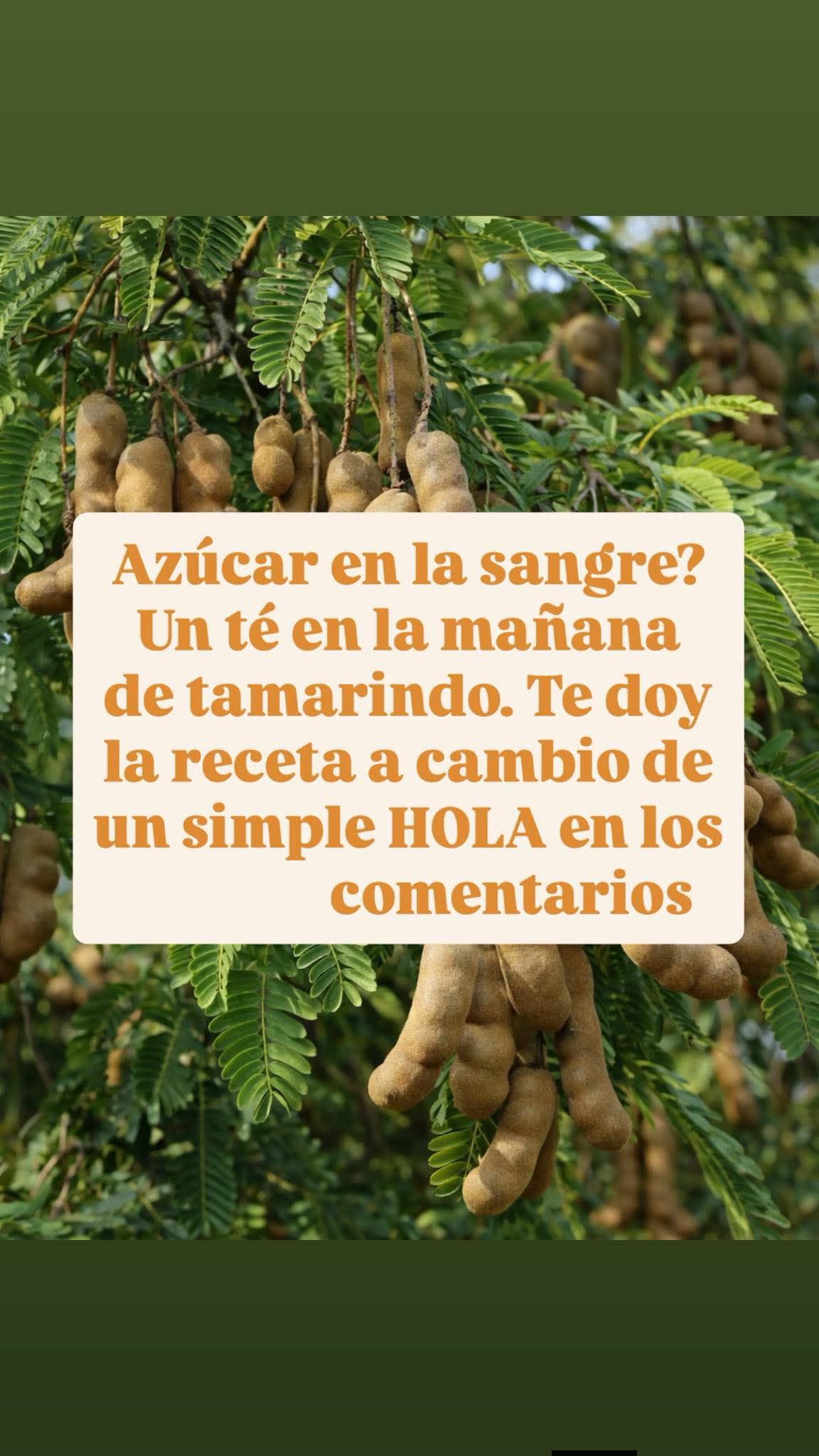 El tamarindo y sus beneficios y propiedades
