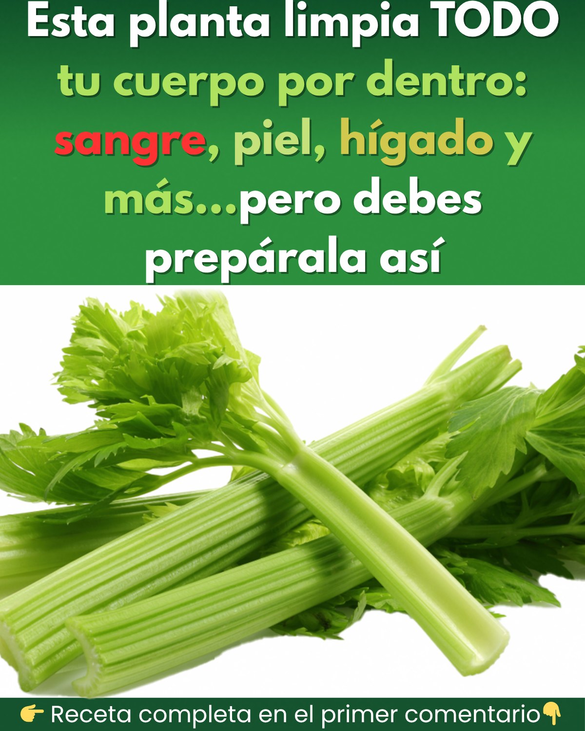 Jugo de apio para limpiar riñones, hígado y pulmones