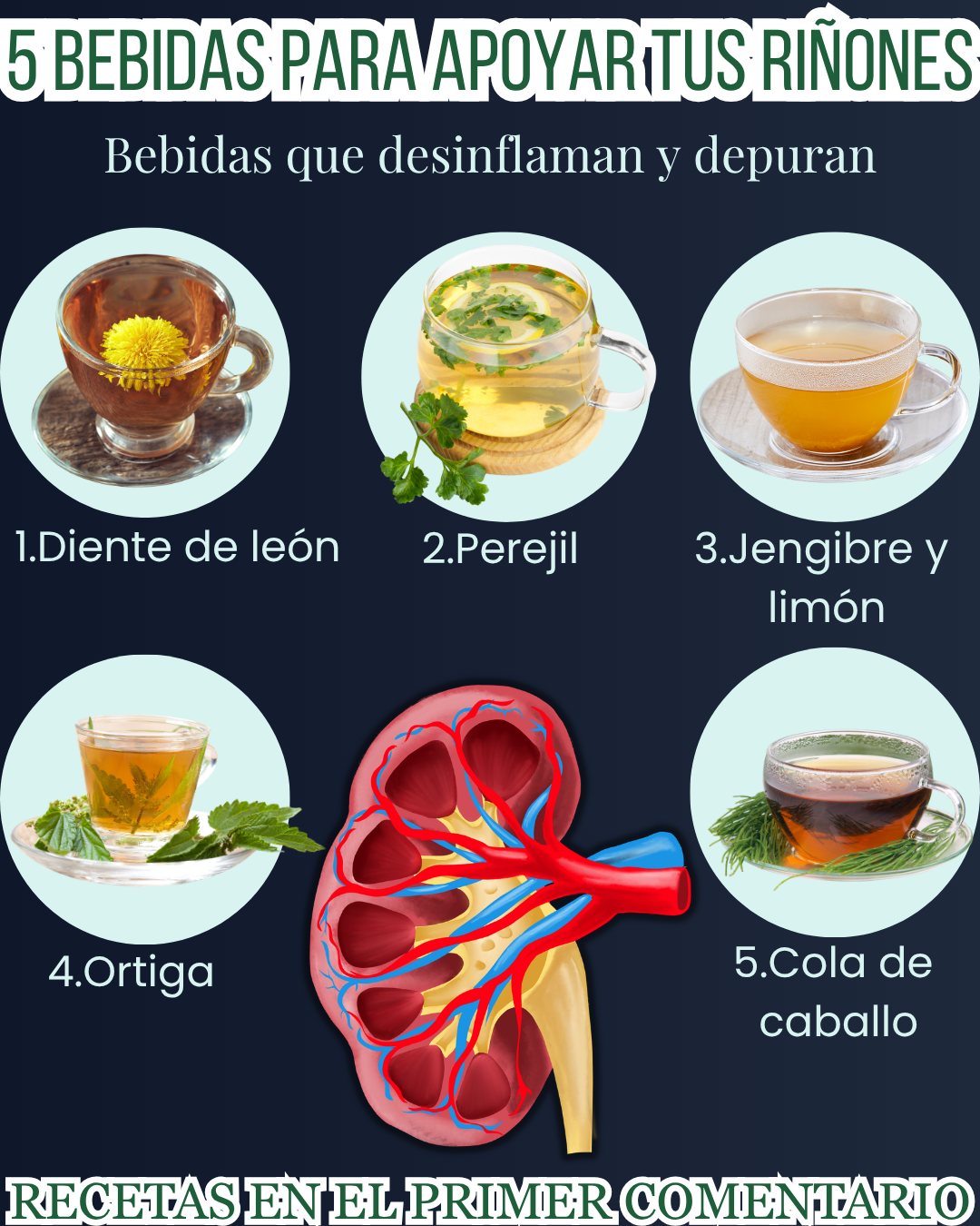 Infusiones para limpiar los riñones de forma natural