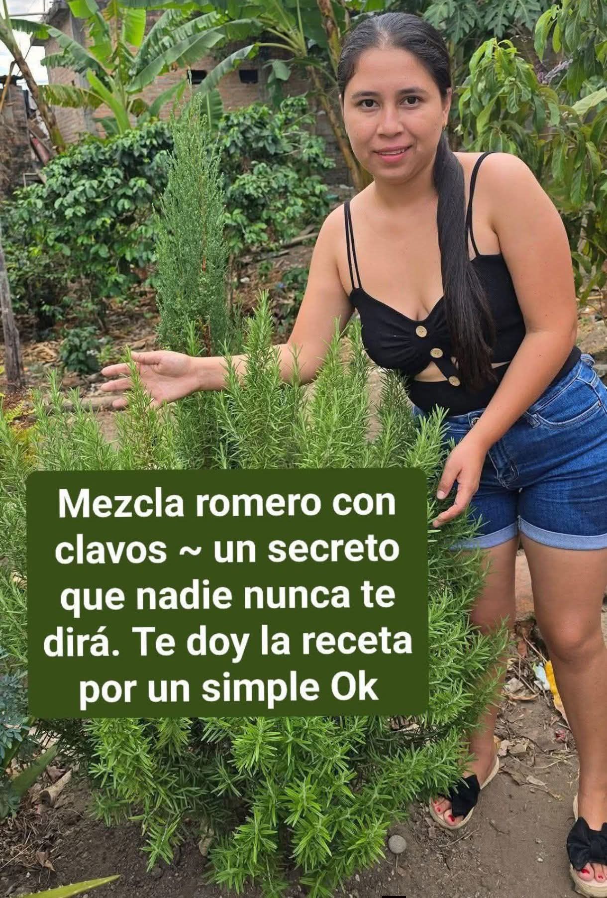 Té de romero