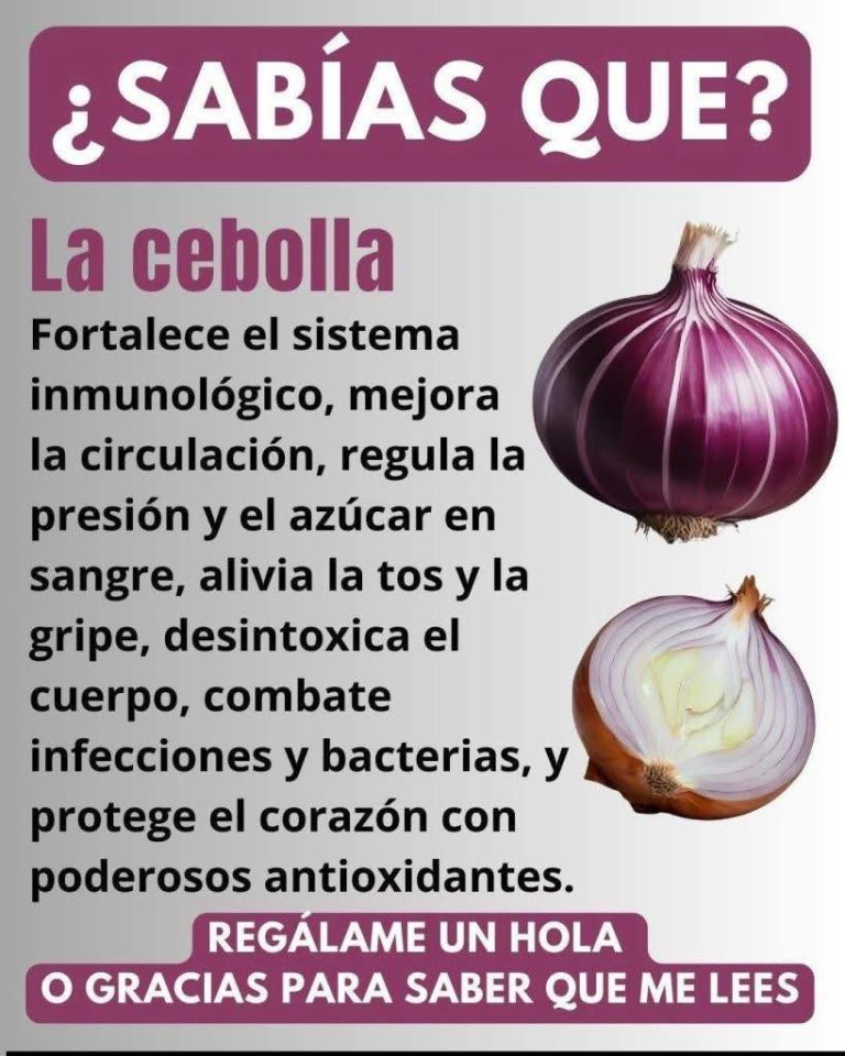 Receta de cebolla morada