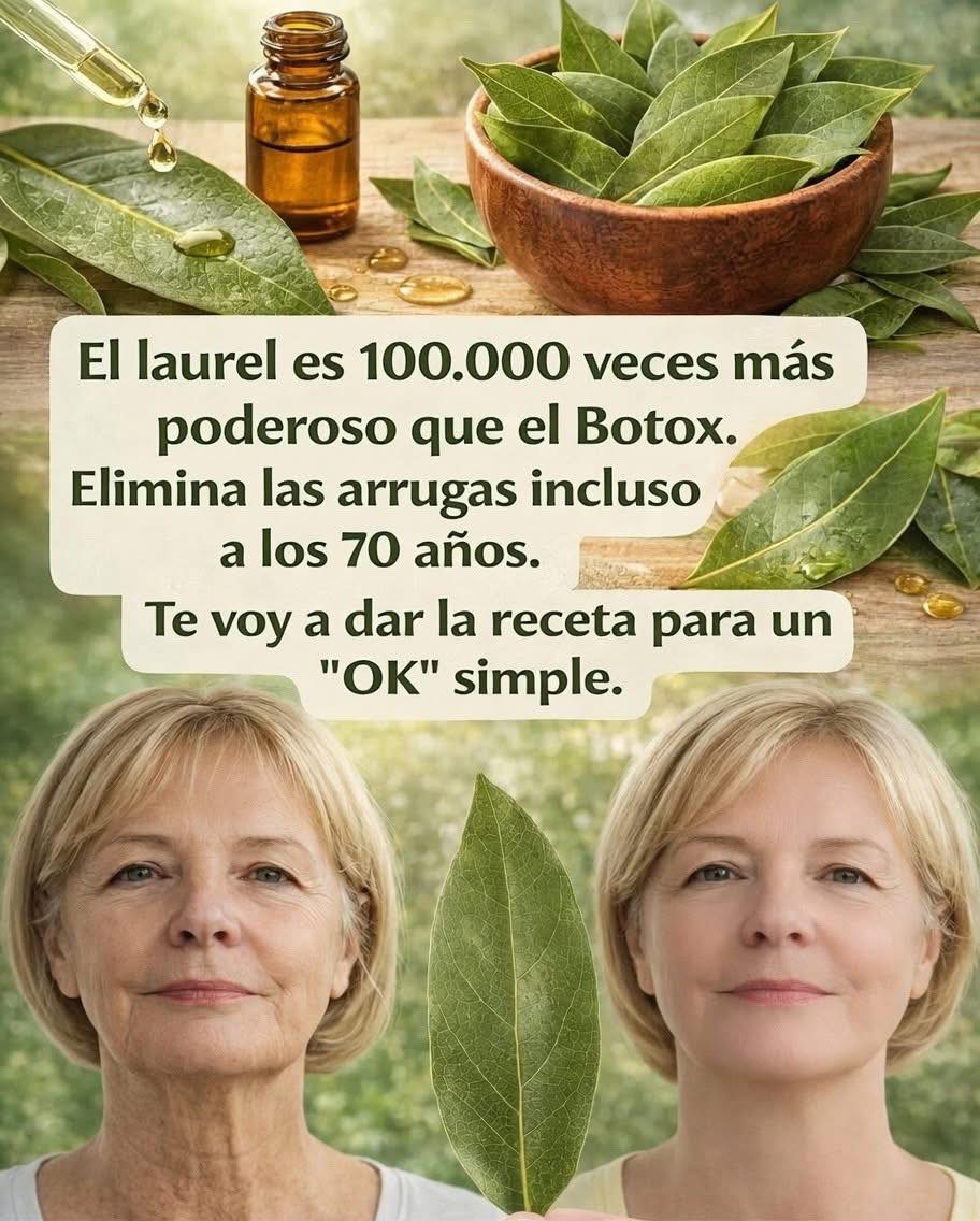 El laurel