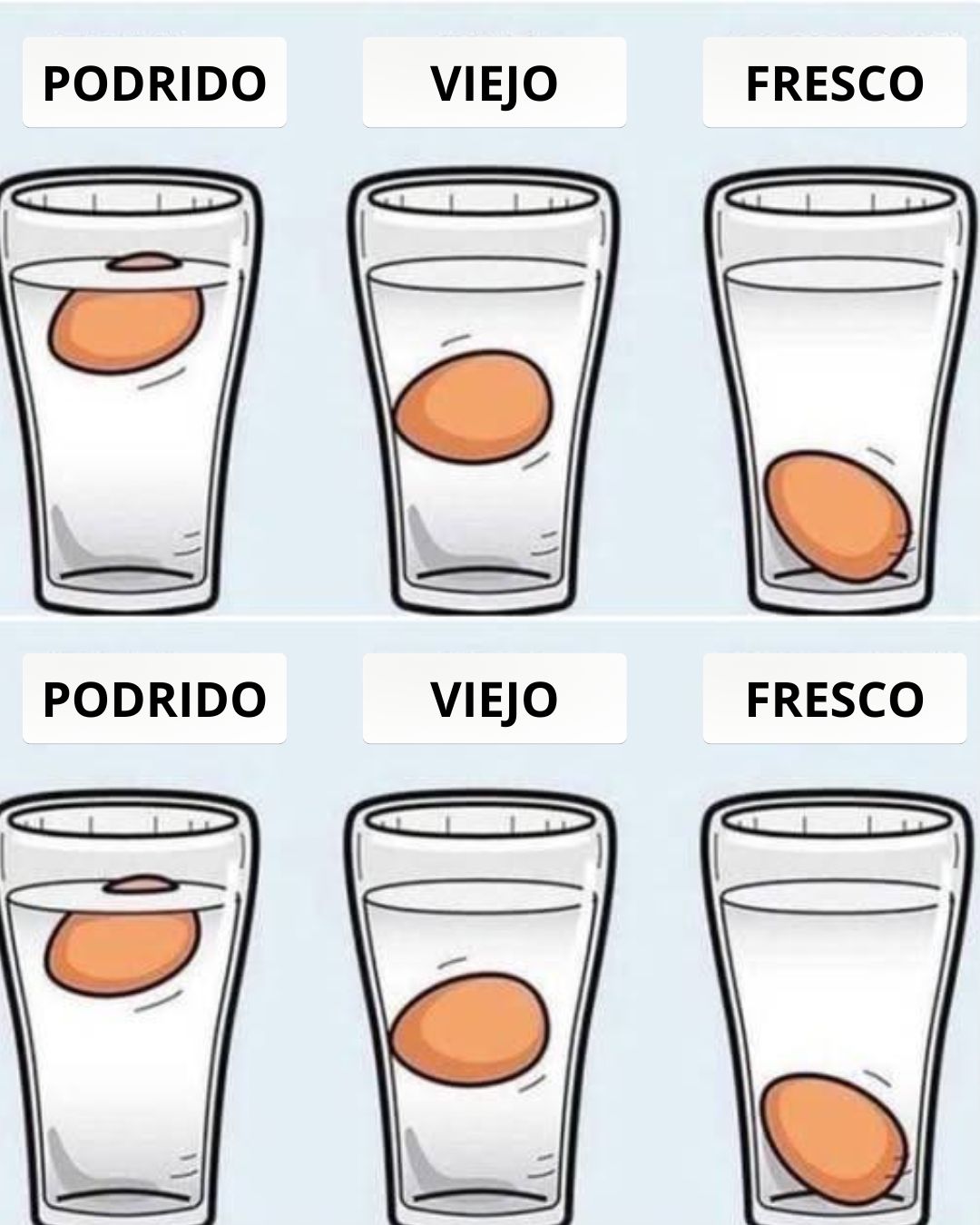 No hay forma más precisa: la manera más exacta de comprobar la frescura de los huevos de gallina